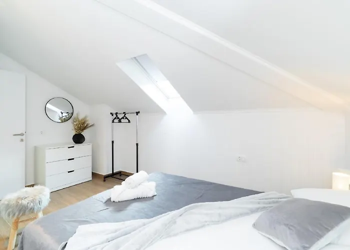 Dragojevic Vela Luka